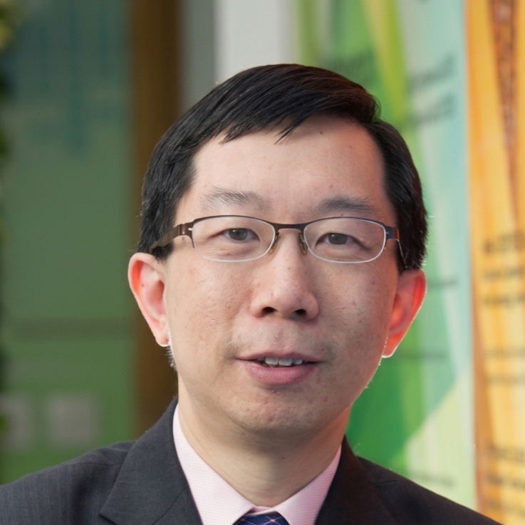 Prof. Michael Kwok-Po NG